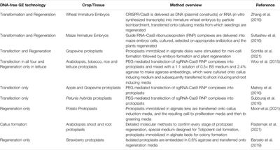 Hemp Genome Editing—Challenges and Opportunities